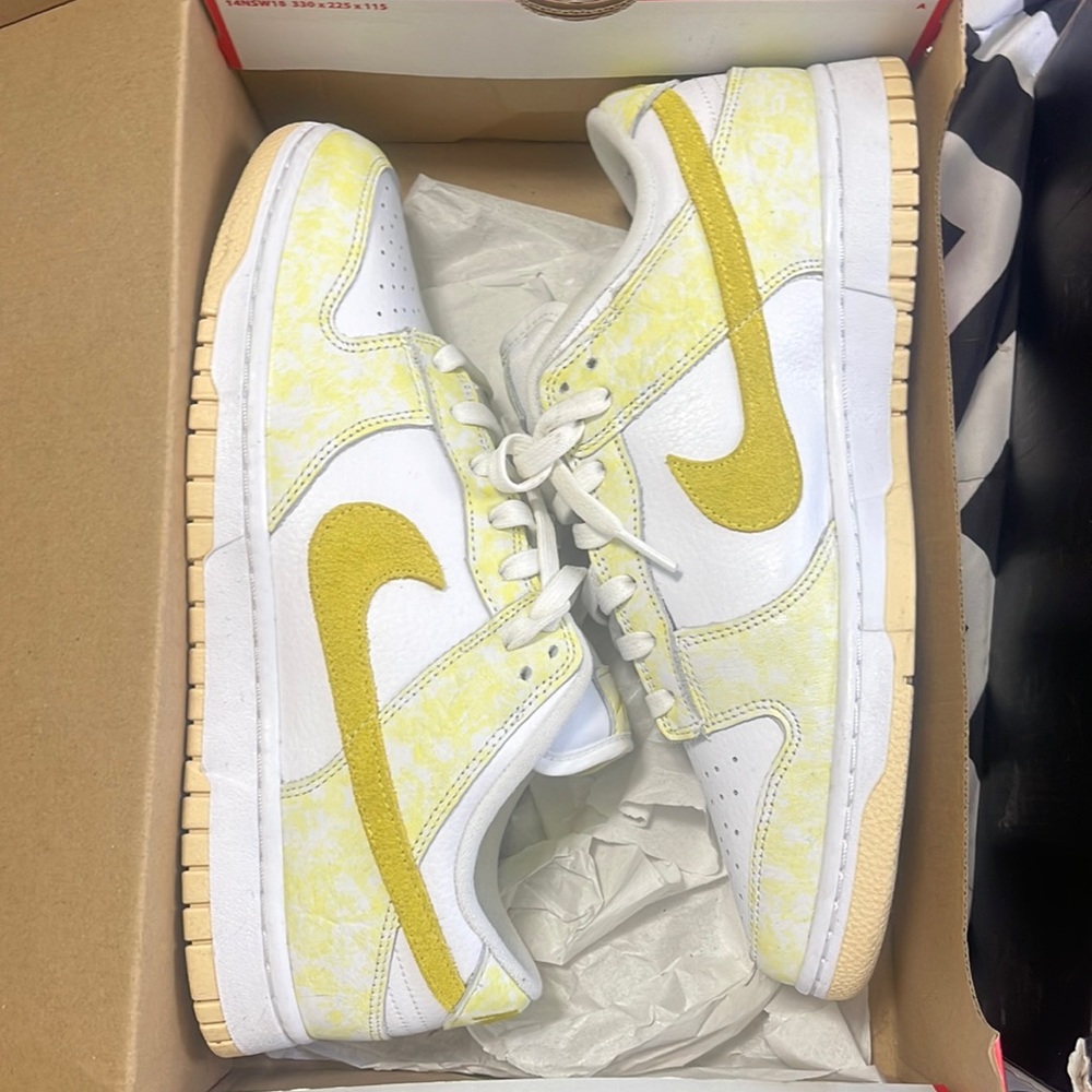 Nike dunks size 10 in mens